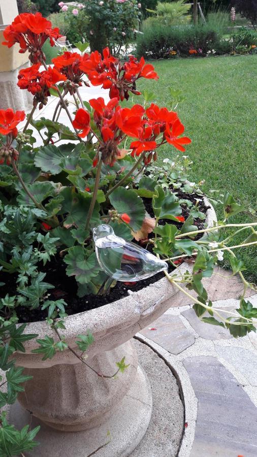 Sous Les Remparts Bed & Breakfast Solignac Bagian luar foto